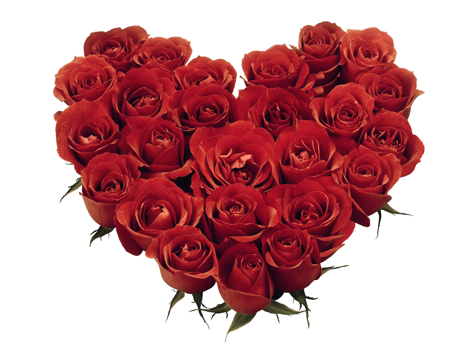 Valentine’s Day
